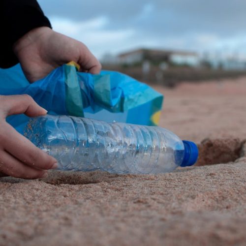 Estrategias para auditar afirmaciones corporativas